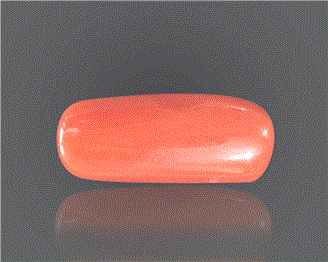 Natural Coral  7.25RTS-27415